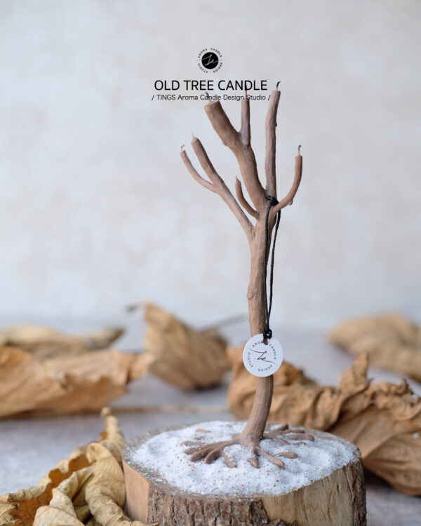 Hastable Branch Candle 樹枝證書課程 (實作或Zoom 直播課程)