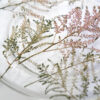 w_DSCF0902 韓國蠟燭工藝協會POM調香證書課程(實體或Zoom線上課程)